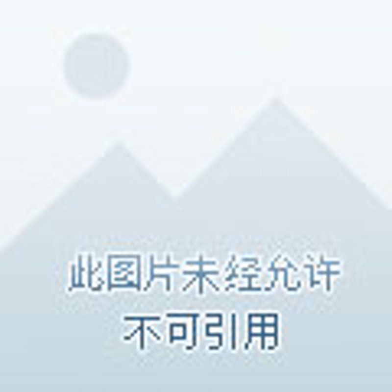 企业策划:从战略高度把握未来
